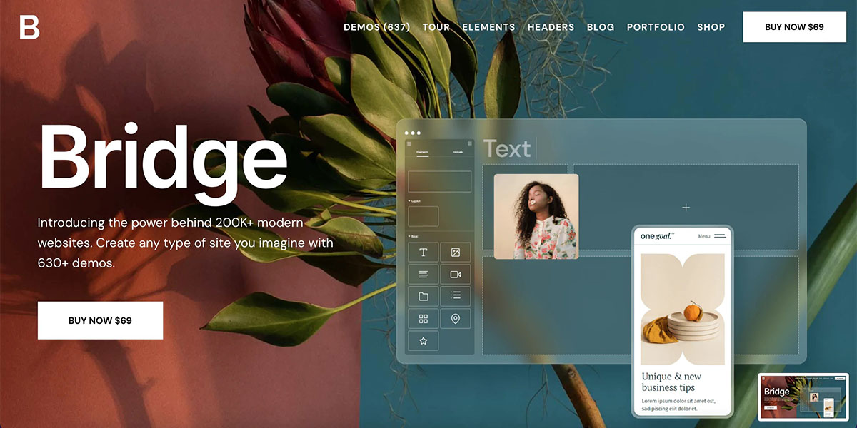 Bridge Theme v30.8.6